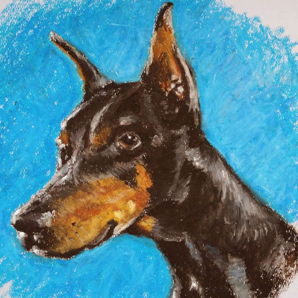 Oil pastel drawing of dog