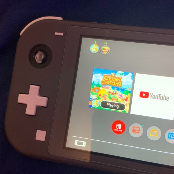 switch lite joystick not working