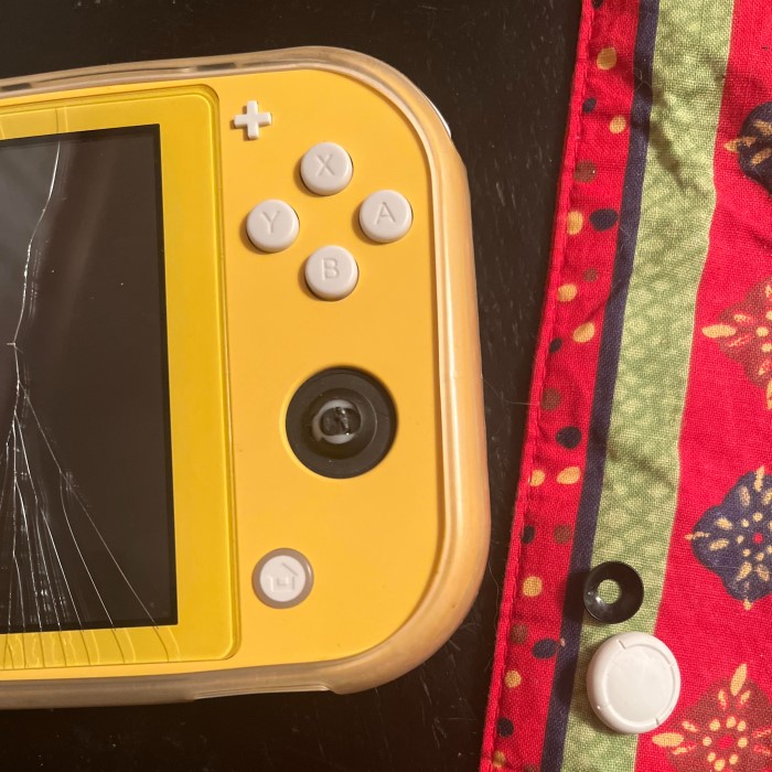 switch lite joystick not working