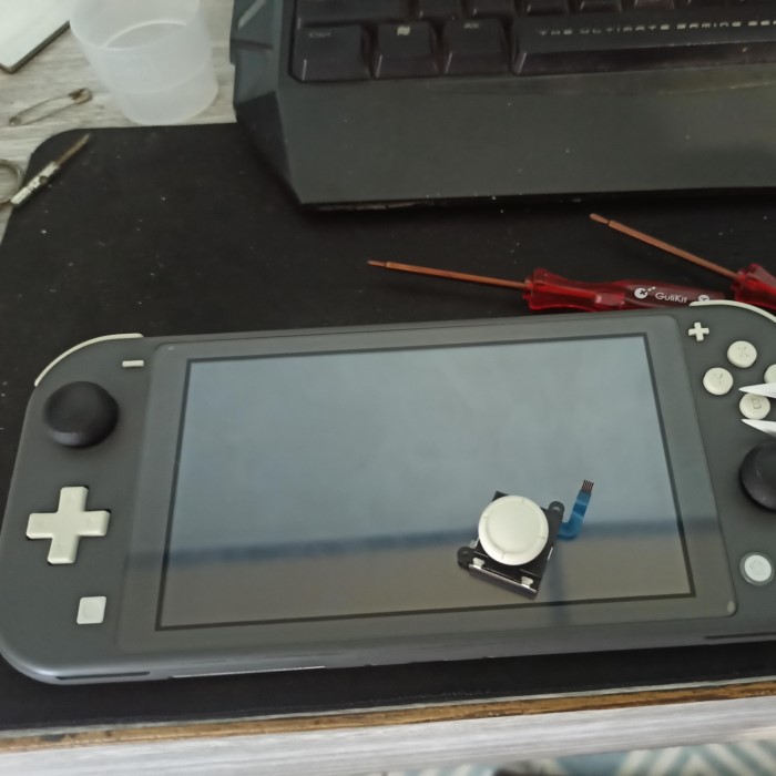switch lite joystick not working
