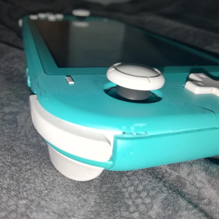 switch lite joystick not working