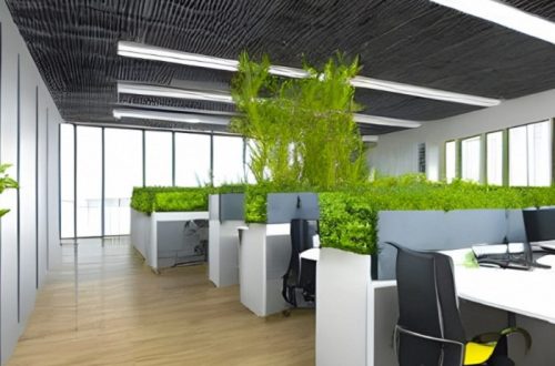 eco friendly office