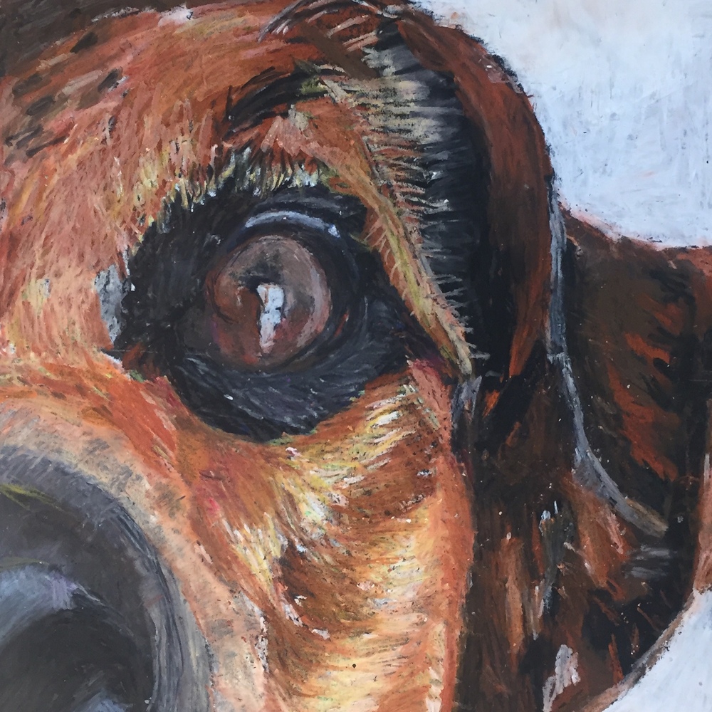 Oil pastel drawing of dog