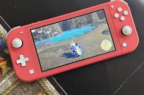 switch lite joystick not working