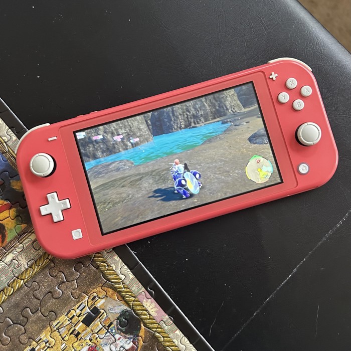 switch lite joystick not working